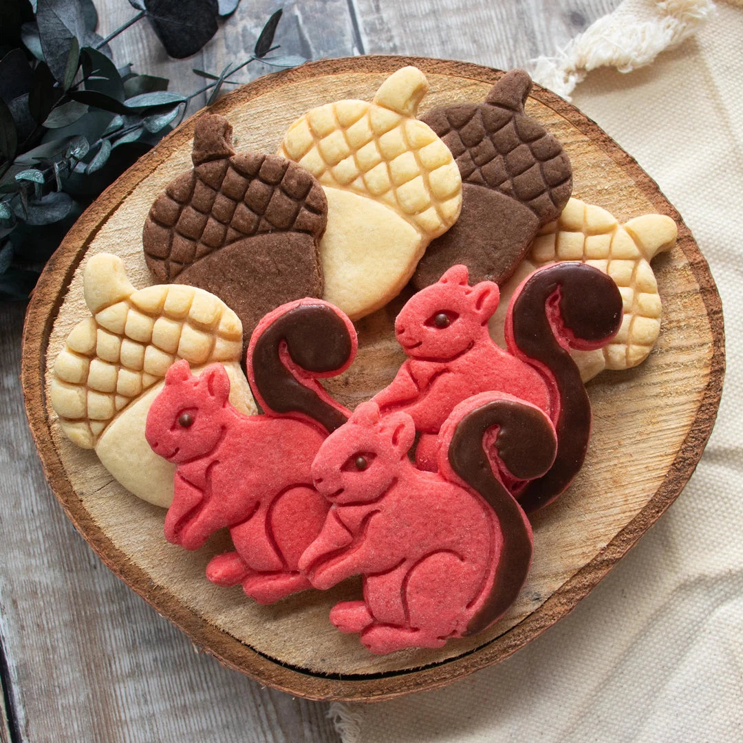 squirrel and acorn cookies