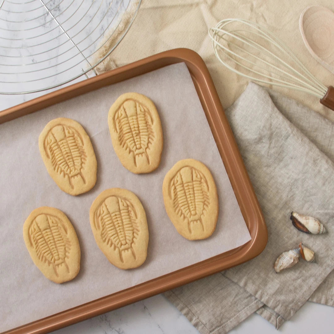 trilobite fossil cookies