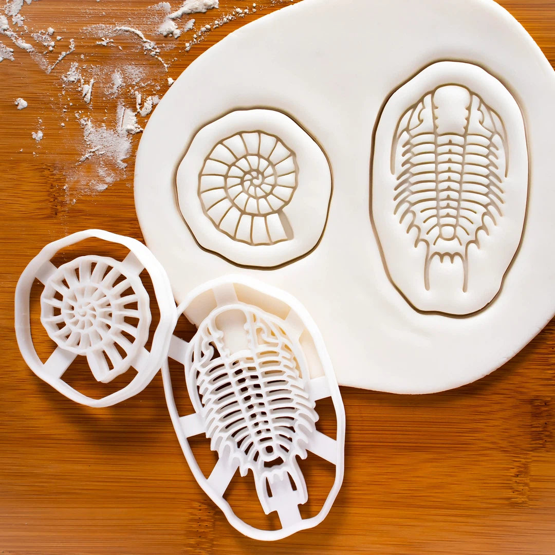 Set of 2 Cookie Cutters: Ammonite & Trilobite